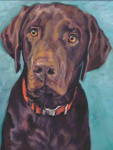 NFRAZ 5D-Diamant-Malset, DIY 5D-Diamant-Malset für Erwachsene und Kinder, brauner Labrador-Hund, Malerei, Kreuzstich, Basteln für die Wanddekoration zu Hause, 40 x 50 cm NFRAZ 5D-Diamant-Malset, DIY 5D-Diamant-Malset für Erwachsene und Kinder, brauner Labrador-Hund, Malerei, Kreuzstich, Basteln für die Wanddekoration zu Hause, 40 x 50 cm von NFRAZ