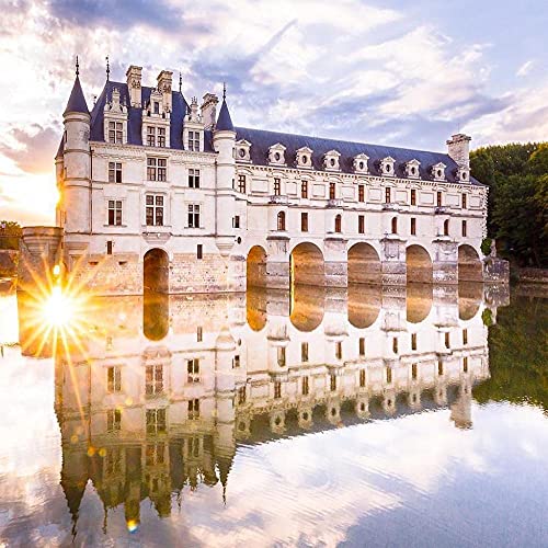 NFRAZ 5D-Diamant-Malset für Kinder und Erwachsene, Schloss Chenonceau, Diamant-Malset, Wanddekoration für Zuhause, Geburtstagsgeschenke, 50 x 60 cm von NFRAZ