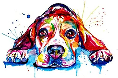 NFRAZ 5D-Diamant-Malset zum Selbermachen, Hund, bunter Beagle, liegend, Diamantmalerei, Kreuzstich, Malerei, Strass-Stickerei, Kunsthandwerk für die Wanddekoration zu Hause, 30 x 40 cm NFRAZ 5D-Diamant-Malset zum Selbermachen, Hund, bunter Beagle, liegend, Diamantmalerei, Kreuzstich, Malerei, Strass-Stickerei, Kunsthandwerk für die Wanddekoration zu Hause, 30 x 40 cm von NFRAZ