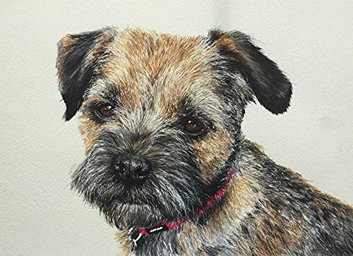NFRAZ 5D-Diamantgemälde, Border Terrier, Kristall-Strass-Stickerei, Bilder, Kunsthandwerk, für Zuhause, Wanddekoration, Geschenk, 50 x 60 cm NFRAZ 5D-Diamantgemälde, Border Terrier, Kristall-Strass-Stickerei, Bilder, Kunsthandwerk, für Zuhause, Wanddekoration, Geschenk, 50 x 60 cm von NFRAZ