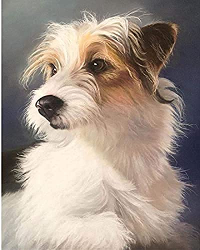 NFRAZ 5D-Diamantmalerei zum Selbermachen, Kreuzstich, Jack Russell Terrier, Hund, Kristall-Diamant-Stickerei-Kits, Wohnzimmer-Dekoration, 40 x 40 cm NFRAZ 5D-Diamantmalerei zum Selbermachen, Kreuzstich, Jack Russell Terrier, Hund, Kristall-Diamant-Stickerei-Kits, Wohnzimmer-Dekoration, 40 x 40 cm von NFRAZ