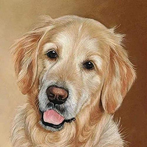 NFRAZ DIY 5D-Diamantgemälde, Golden Retriever-Hund, Kunsthandwerk, Leinwand, für Heimwanddekoration, Erwachsene und Kinder, Kunst, Diamantzahl, 40 x 40 cm NFRAZ DIY 5D-Diamantgemälde, Golden Retriever-Hund, Kunsthandwerk, Leinwand, für Heimwanddekoration, Erwachsene und Kinder, Kunst, Diamantzahl, 40 x 40 cm von NFRAZ