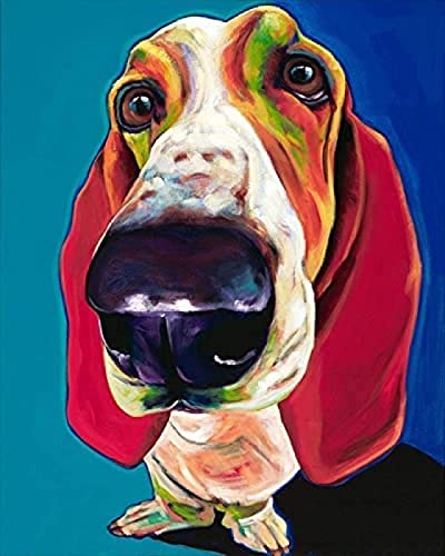 NFRAZ DIY Diamantmalerei Basset Hound Hund Strass Kristall Stickerei Bilder Kreuzstich Kunsthandwerk für Wohnkultur 40x50CM NFRAZ DIY Diamantmalerei Basset Hound Hund Strass Kristall Stickerei Bilder Kreuzstich Kunsthandwerk für Wohnkultur 40x50CM von NFRAZ