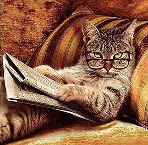NFRAZ DIY handgefertigtes 5D-Diamant-Malset „Katze liest die Zeitung“, Bohrer, Stickerei, Bild, Heimdekoration, Wandkunst, 40 x 50 cm NFRAZ DIY handgefertigtes 5D-Diamant-Malset „Katze liest die Zeitung“, Bohrer, Stickerei, Bild, Heimdekoration, Wandkunst, 40 x 50 cm von NFRAZ