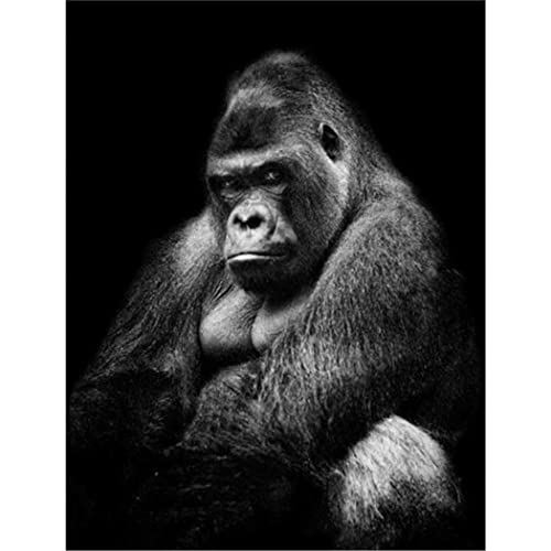 NFRAZ Diamantmalerei, 5D-Diamantmalerei-Set, Bohrer, Gorilla, für Erwachsene und Kinder, DIY-Paste, Strass-Stickerei, Diamant-Kunsthandwerk, 40 x 50 cm von NFRAZ