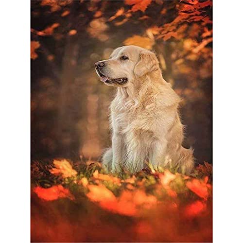 NFRAZ Diamantmalerei-Stickerei, DIY-Diamantmalerei, Hund und tote Blätter, Diamantmosaik, komplettes rundes 5D-Diamantgemälde, Golden Retriever, rahmenlos, 50 x 60 cm NFRAZ Diamantmalerei-Stickerei, DIY-Diamantmalerei, Hund und tote Blätter, Diamantmosaik, komplettes rundes 5D-Diamantgemälde, Golden Retriever, rahmenlos, 50 x 60 cm von NFRAZ