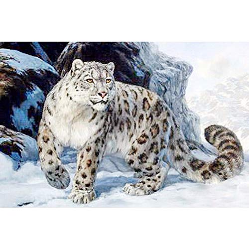 NFRAZ Diamantmalerei zum Selbermachen, Diamantmalerei, Diamantstickerei, Schneeleopard, dekorative Bilder von Strasssteinen, Basteln, Heimtextilien, 40 x 40 cm von NFRAZ
