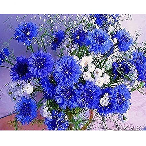 NFRAZ Diamantmosaik, quadratisch, Diamantstickerei, Landschaft, Diamantmalerei, Kreuzstich, Blumen, Deutschland, blaue Kornblumen, Dekor, 30 x 40 cm von NFRAZ