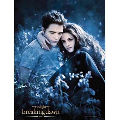 NFRAZ Gemälde Twilight City Filmplakat 5D DIY Diamant Stickerei Kunst Kits Dekorationen Home 40x50CM NFRAZ Gemälde Twilight City Filmplakat 5D DIY Diamant Stickerei Kunst Kits Dekorationen Home 40x50CM von NFRAZ