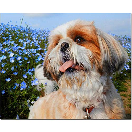 NFRAZ Quadratisches Diamantgemälde, Shih Tzu-Hundeblumen, 5D-Diamantstickerei, Mosaik-Diamantbild, Kreuzstich, 50 x 60 cm NFRAZ Quadratisches Diamantgemälde, Shih Tzu-Hundeblumen, 5D-Diamantstickerei, Mosaik-Diamantbild, Kreuzstich, 50 x 60 cm von NFRAZ