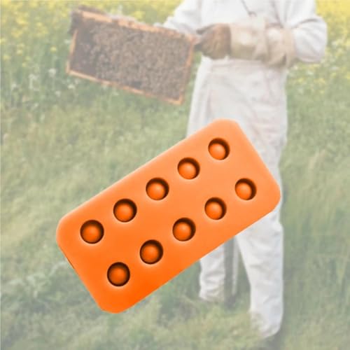 4Pcs Wachs Königin Pfropf Tassen Silikon Form Kompakte Wiederverwendbare Bienenwachs Maker Werkzeug Bee Zelle Tasse Form Ausrüstung(Noir) von NGBFF