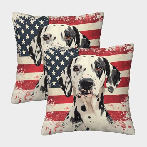 NGGADIWEG DALMATISCHE Outdoor Kissen Vintage Dekokissen Dekokissen 2er Set Kissen Bezug Wohnzimmer Bett 45x45cm von NGGADIWEG