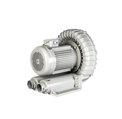 NGTFDCP Auto-Gebläse, Aluminium-Hochdruck-Radialbläse Mit Edelstahlfilter, Luftzufuhr Und Absaugung Turbobläse,Hohe Saugleistung(17) von NGTFDCP