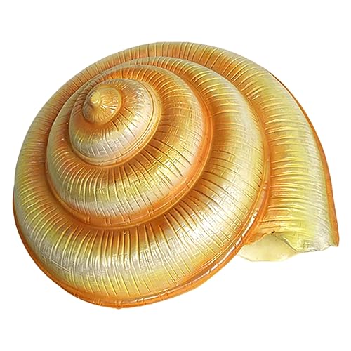 Muscheln, Muschelschale, 7-15 Zoll riesige Muschel-Dekoration for Strand-Mottoparty, Hochzeit, Heimdekoration, DIY-Bastelarbeiten, Aquarium-Dekoration(L) von NHEISSCF