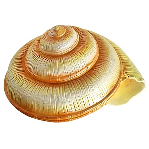 Muscheln, Muschelschale, 7-15 Zoll riesige Muschel-Dekoration for Strand-Mottoparty, Hochzeit, Heimdekoration, DIY-Bastelarbeiten, Aquarium-Dekoration(M) von NHEISSCF