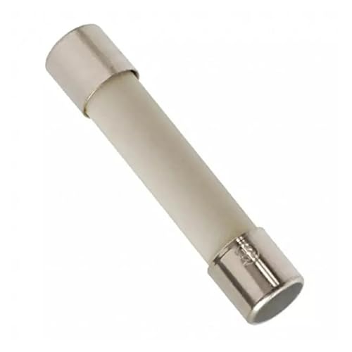 NHEISSCF Keramische Haushalts-Netzsicherung, 100 STÜCKE Rohr 0,5 A/1A/30A/2A/3A/4A/5A/6A/8A/10A/12A 15A 20A 30A 250 V 6 * 30 MM sicherung Rohr(25a) von NHEISSCF