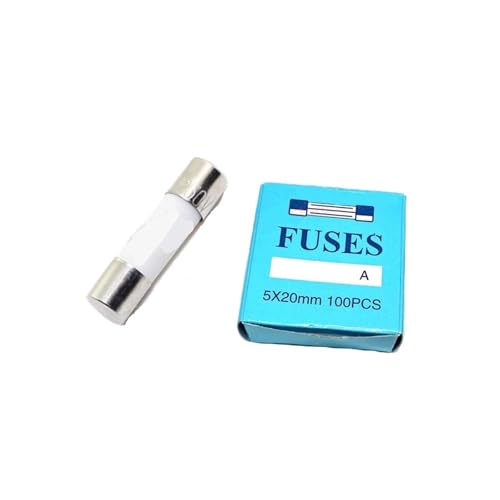NHEISSCF Keramische Haushalts-Netzsicherung, 20 Stück 5 * 20 mm 250 V 0,5 A 1 A 2 A 2,5 A 3 A 3,15 A 4 A 5 A 6 A 6,3 A 8 A 10 A 15 A 20 A 25 A 30 A Flink(2.5A) von NHEISSCF