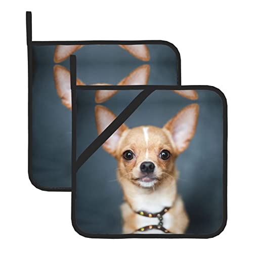Niedliches Chihuahua-Topflappen-Set, zweiteilig, bedruckt, zum Backen, Kochen und Grillen. von NHGFVT