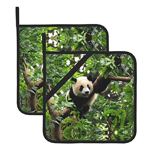 Panda Tree zweiteiliges bedrucktes isoliertes Topflappen-Set zum Backen, Kochen und Grillen. von NHGFVT