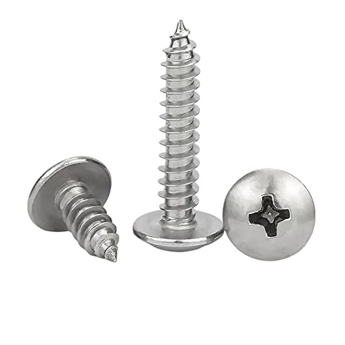 Schrauben Schraubensatz 10–50 Stück M3/M3,5/M4/M5/M6 Kreuzschlitzschraube mit großem Rundkopf, selbstschneidende Schraube aus Edelstahl 304, Kreuzschlitz-Holzschraube, M6 x 80 mm von NHJSDLLMNZ