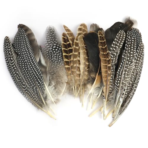 NHPY 50 Stück Natur Federn Zum Basteln, Federn Hühnerfeder, Deko Bastelfeder Fasan, Gemischte Federn Für DIY Traumfänger Kostüm Karneval Masken Halloween Kranz,12-20Cm (4 Größe) von Sudsty