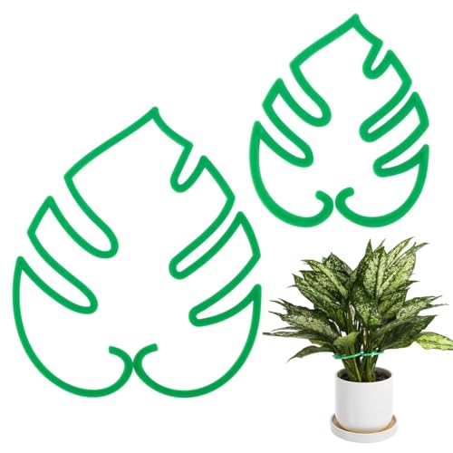 NHQ 2st Pflanzenstütze Monstera,Pflanze Stützen,Pflanzen-Klettergerüst,Monstera Pflanzenstütze Staudenhalter Garten Stützring,Stängelstützenhalter Monstera Pflanzenclip Pflanzengreifer Stielhalter NHQ 2st Pflanzenstütze Monstera,Pflanze Stützen,Pflanzen-Klettergerüst,Monstera Pflanzenstütze Staudenhalter Garten Stützring,Stängelstützenhalter Monstera Pflanzenclip Pflanzengreifer Stielhalter von NHQZ