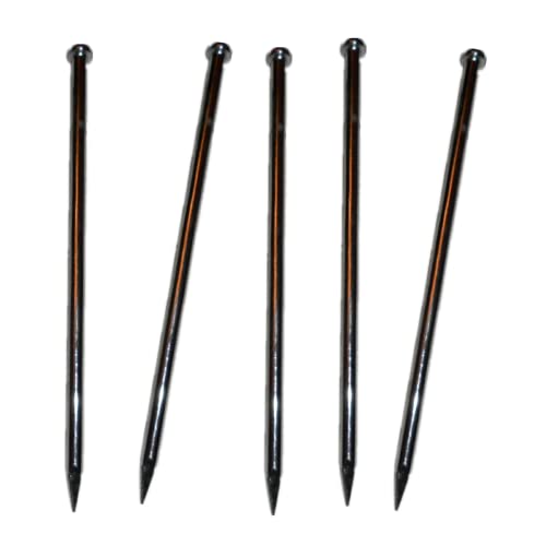 Stahl-Bradnägel, Eisennägel/Holzstrukturnägel/Große Eisennägel/Durchmesser 8 mm*Länge 400 mm*5 Stück von NIAMHYT