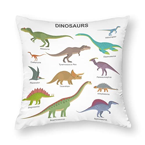 1 x Kissenbezüge, Dinosaurier-Typen, dekorativer Kissenbezug, 45,7 x 45,7 cm, weicher Polyester, quadratisch, für Wohnzimmer, Sofa, Couch, Bett, Kissenbezüge von NIBABA
