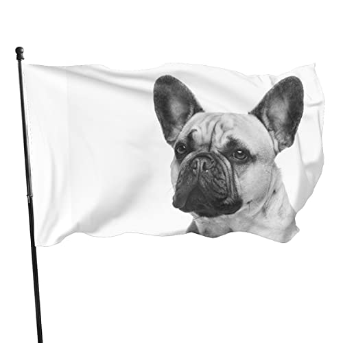 90 x 150 cm, dekorative Hausflagge, Hofbanner, französische Bulldogge, Flagge, Druck, Gartenflaggen, Hängeflagge, Dekoration von NIBABA