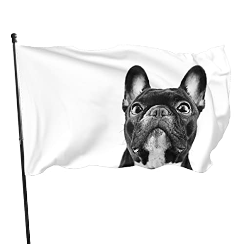 90 x 150 cm, dekorative Hausflagge, Hofbanner, französische Bulldogge, Flagge, Druck, Gartenflaggen, Hängeflagge, Dekoration von NIBABA