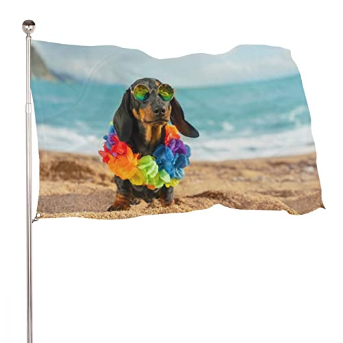 Dekorative Gartenflagge, Hof-Banner, bezaubernder Dackel, schwarz-hellbrauner Hundedruck, alle Jahreszeiten, Feiertage, Willkommensflagge, Rasendekoration, 120 x 180 cm von NIBABA