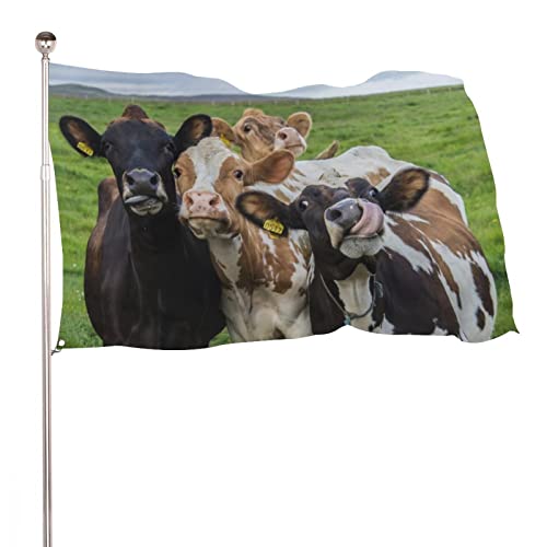 Dekorative Gartenflagge, Hof-Banner, vier lustige Kühe, Urlaub, Willkommen, Hof, Flagge, Rasen, hängende Dekoration, 60 x 90 cm von NIBABA