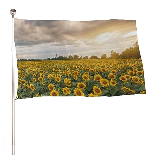 Dekorative Gartenflagge, Hofbanner, gelbe Sonnenblumen, Blütenblätter, Abenddruck, Willkommensflagge, Rasen, hängende Heimdekoration, 90 x 150 cm Dekorative Gartenflagge, Hofbanner, gelbe Sonnenblumen, Blütenblätter, Abenddruck, Willkommensflagge, Rasen, hängende Heimdekoration, 90 x 150 cm von NIBABA