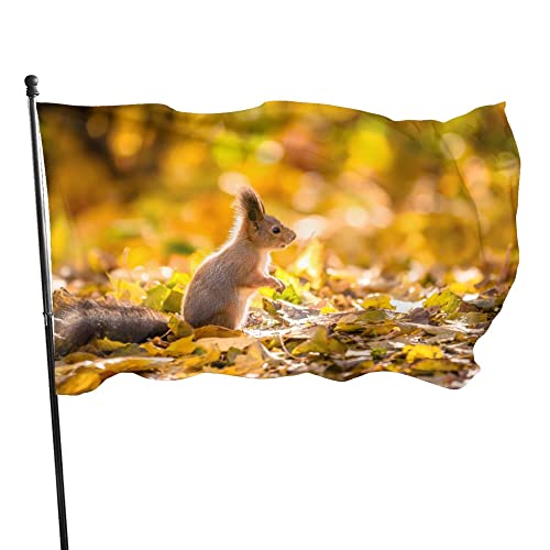 Dekorative Hausflagge, Hof-Banner, Wald, kleine Nagetiere, Eichhörnchen, Druck, alle Jahreszeiten, Urlaub, Willkommenshof, Flagge, Rasen, hängende Dekoration, 90 x 150 cm von NIBABA