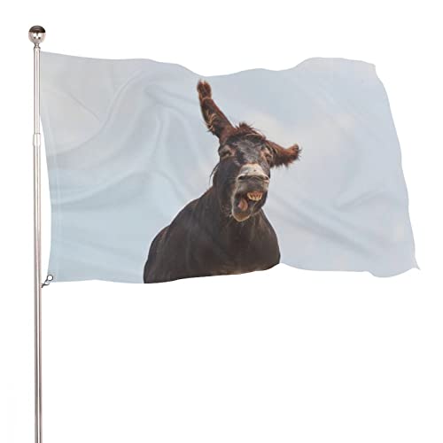 Dekorative Hausflagge, Hof-Banner, lustiger lächelnder Esel-Druck, Urlaub, Willkommen, Hof, Flagge, Rasen, hängende Dekoration, 90 x 150 cm von NIBABA