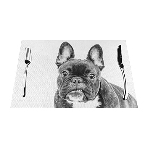 Gewebte Platzdeckchen, 1–6 Sets, französische Bulldogge, waschbar, PVC-Platzsets für Esstisch, geeignet für Küchentischmatten, 30 x 45 cm, 1 Stück von NIBABA