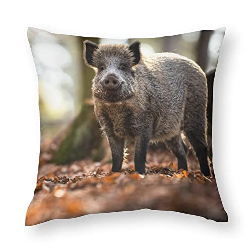 Kissenbezüge, 1 Stück, Wildschwein, dekorativer Kissenbezug, 45,7 x 45,7 cm, weiches Polyester, quadratisch, Kissenbezüge von NIBABA