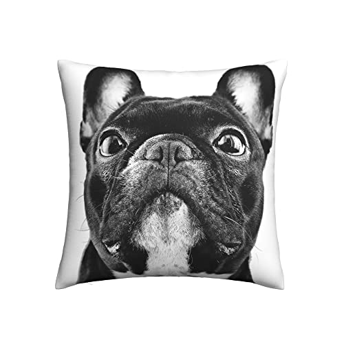 Kissenbezüge, 1 Stück, französische Bulldogge, dekorative Kissenbezüge, 50,8 x 50,8 cm, weiches Polyester, quadratisch, Kissenbezüge für Wohnzimmer, Sofa, Couch, Bett von NIBABA