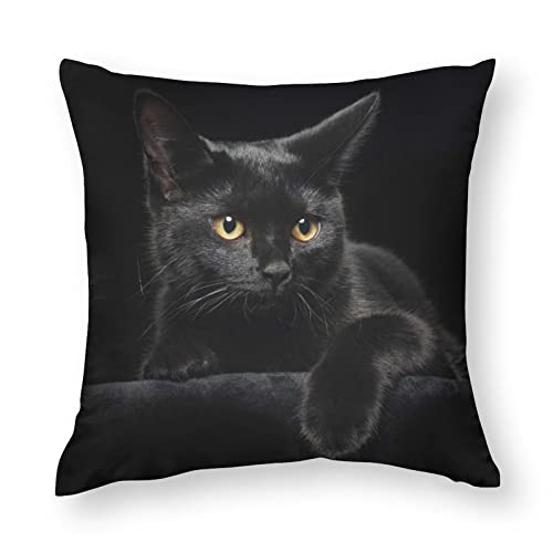 Kissenbezüge, 1 Stück, schwarze Katze, dekorative Kissenbezüge, 30,5 x 30,5 cm, weiches Polyester, quadratisch, für Wohnzimmer, Sofa, Couch, Bett, Kissenbezüge von NIBABA