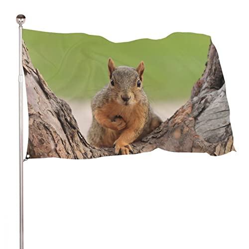 NIBABA Dekorative Gartenflagge, Hof-Banner, Eichhörnchen-Druck, alle Jahreszeiten, Feiertage, Willkommensgartenflaggen, Rasendekoration, 60 x 90 cm von NIBABA