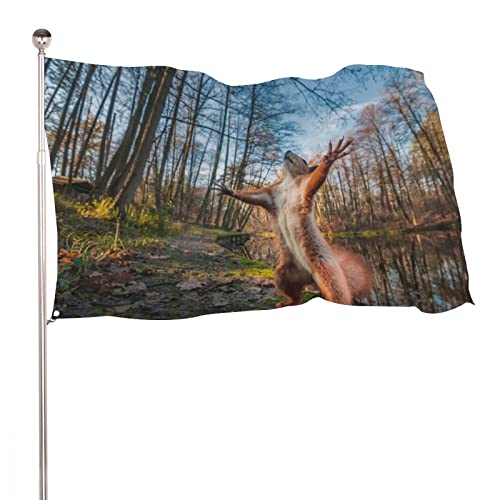 NIBABA Dekorative Hausflagge, Hofbanner, lustiger roter Eichhörnchen-Druck, alle Jahreszeiten, Urlaub, Willkommen, Gartenflaggen, Rasen, hängende Dekoration, 90 x 150 cm von NIBABA