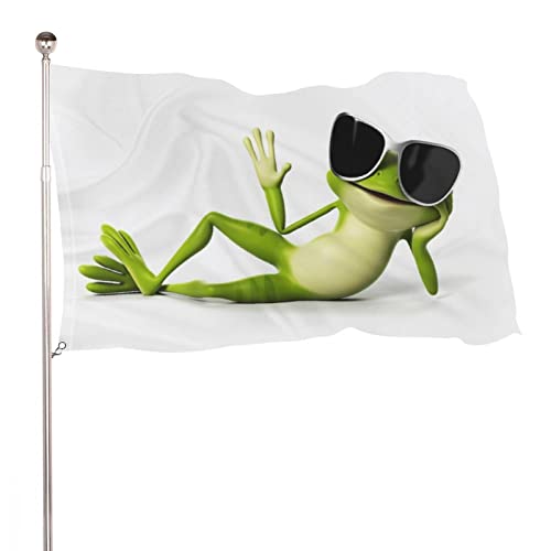 Dekorative Hausflagge Hofbanner 3D-lustiger Frosch-Druck für alle Jahreszeiten, Urlaub, Willkommen, Hofflagge, Rasen, hängende Dekoration, 90 x 150 cm von NIBABA