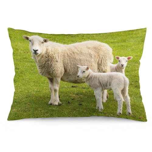 NIBABA Kissenbezüge, 1 Stück, Schaf mit Lämmern, dekorativer Deko-Kissenbezug, 50 x 75 cm, weiches Polyester, rechteckige Kissenbezüge NIBABA Kissenbezüge, 1 Stück, Schaf mit Lämmern, dekorativer Deko-Kissenbezug, 50 x 75 cm, weiches Polyester, rechteckige Kissenbezüge von NIBABA