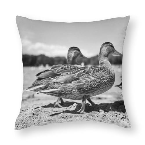 NIBABA Kissenbezüge, 1 Stück, Wildvögel, Enten, Spaziergang am Strand, dekorative Kissenbezüge, 45 x 45 cm, weiches Polyester, quadratisch von NIBABA