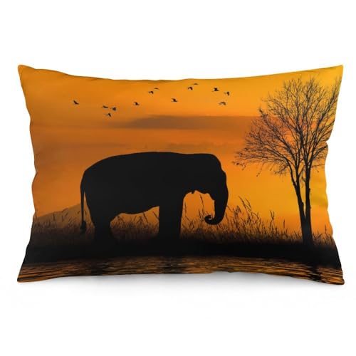 NIBABA Kissenbezüge, 1 Stück, afrikanischer wilder Elefant, der bei Sonnenuntergang trinkt, dekorative Kissenbezüge, 40 x 60 cm, weiches Polyester, quadratisch von NIBABA