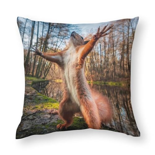 NIBABA Kissenbezüge, 1 Stück, lustiges Tier, rotes Eichhörnchen im Wald, dekorative Kissenbezüge, 50 x 50 cm, weiches Polyester, quadratisch von NIBABA