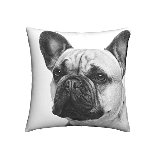 NIBABA Kissenbezüge, französische Bulldogge, dekorative Kissenbezüge, 80 x 80 cm, weiches Polyester, quadratisch, für Wohnzimmer, Sofa, Couch, Bett, Kissenbezüge NIBABA Kissenbezüge, französische Bulldogge, dekorative Kissenbezüge, 80 x 80 cm, weiches Polyester, quadratisch, für Wohnzimmer, Sofa, Couch, Bett, Kissenbezüge von NIBABAEU