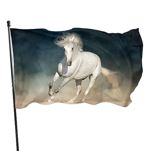 NIBABAEU 60 x 90 cm, dekorative Flagge für Haus, Hof, Außenbereich, Galoppierdruck, Garten, Hof, Rasen-Dekoration NIBABAEU 60 x 90 cm, dekorative Flagge für Haus, Hof, Außenbereich, Galoppierdruck, Garten, Hof, Rasen-Dekoration von NIBABA