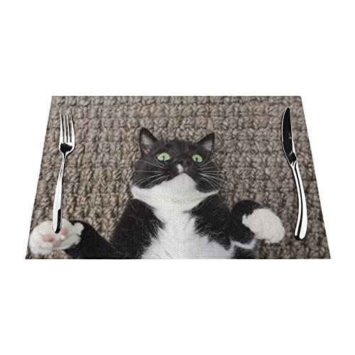 Platzdeckchen, 1–6 Sets, schwarz-weiß, Katze, waschbar, PVC-Tischsets für Küche, Tischsets, 30 x 45 cm, 4 Stück von NIBABA