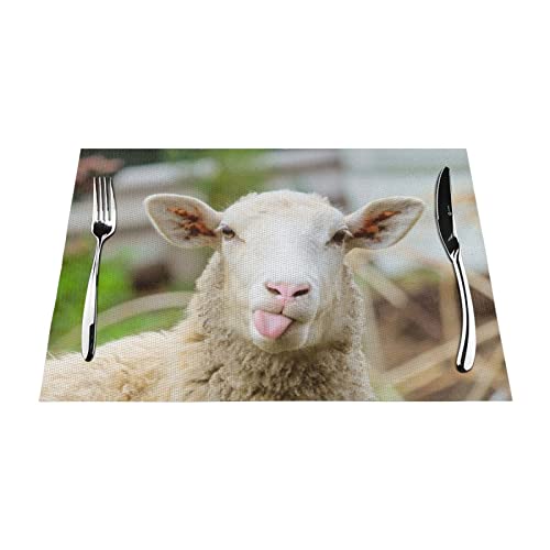 Platzsets 1–6 Sets lustige Schafe waschbare PVC-Tischsets für Esstisch, geeignet für Küchentischmatten, 30 x 45 cm, 1 Stück Platzsets 1–6 Sets lustige Schafe waschbare PVC-Tischsets für Esstisch, geeignet für Küchentischmatten, 30 x 45 cm, 1 Stück von NIBABA